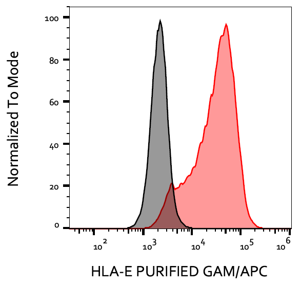 HLA-E Antibody
