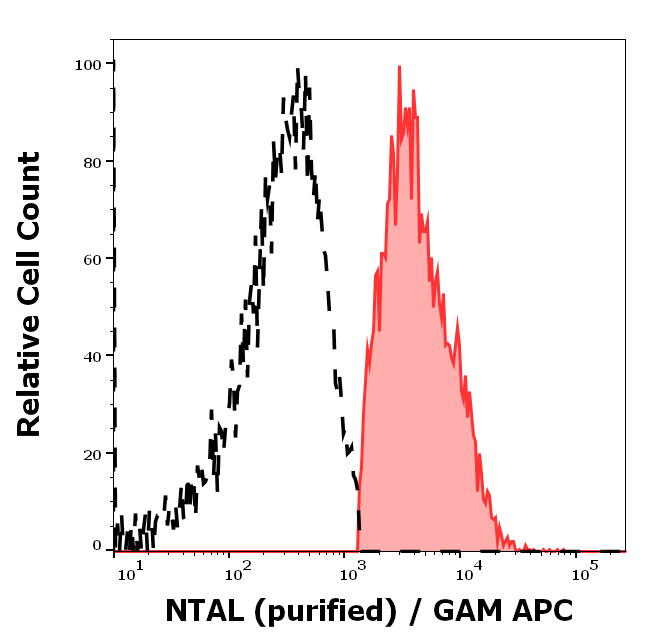 Anti-NTAL Purified