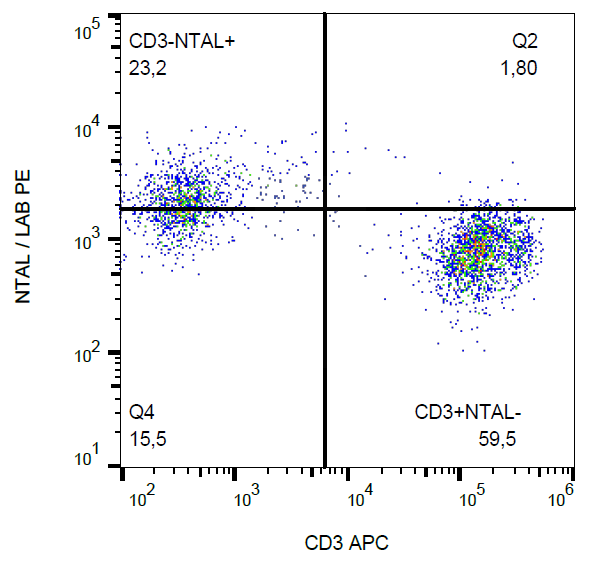 NTAL Antibody (PE)