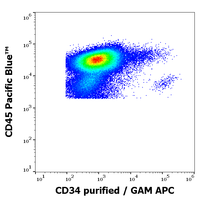 Anti-Hu CD34 Purified Azide Free