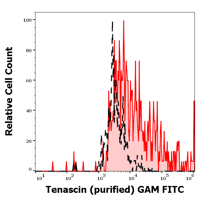 Tenascin C Antibody
