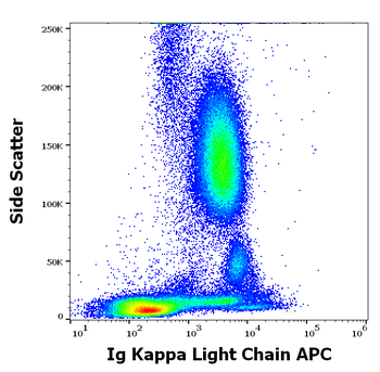 Ig Kappa Light Chain Antibody (APC)