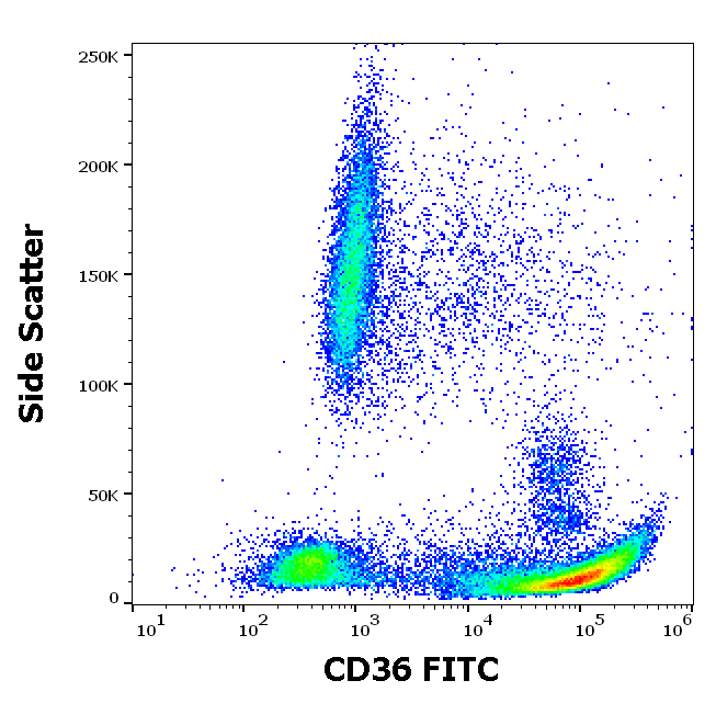 CD36 antibody (FITC)