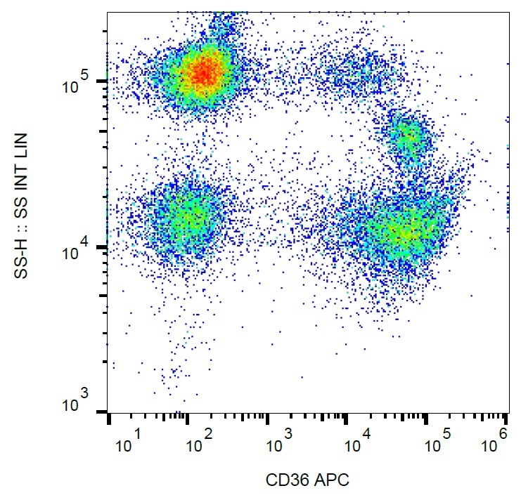 CD36 Antibody (APC)
