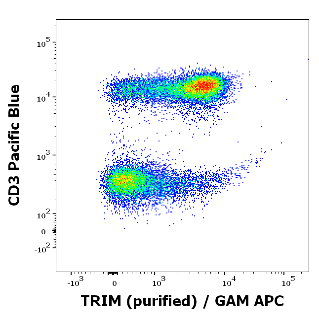 TRIM antibody