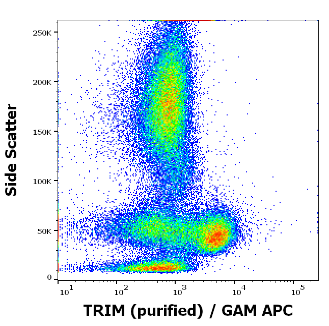 TRIM antibody