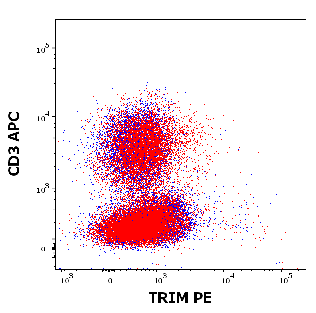 TRIM Antibody (PE)