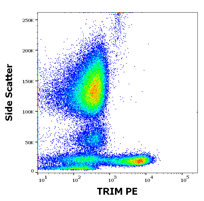 Anti-TRIM PE