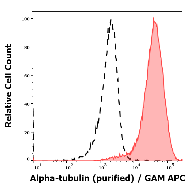 alpha tubulin antibody