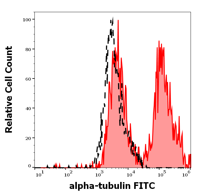 alpha tubulin antibody (FITC)