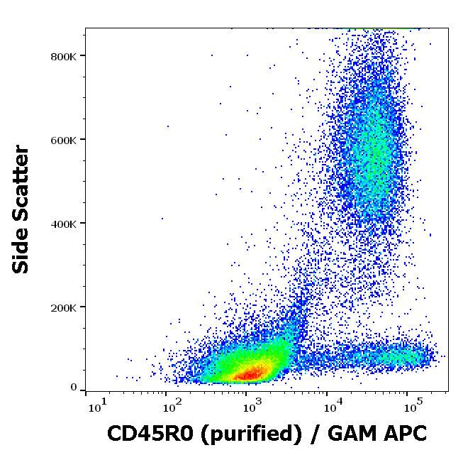 CD45R0 antibody