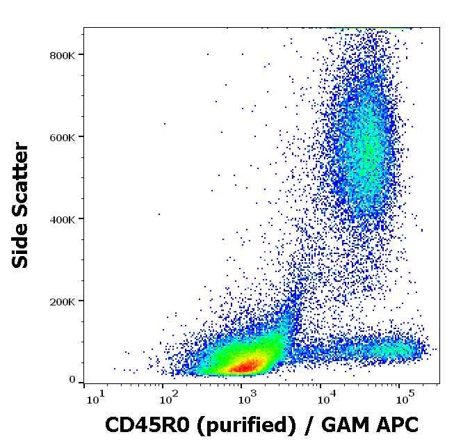 CD45R0 Antibody
