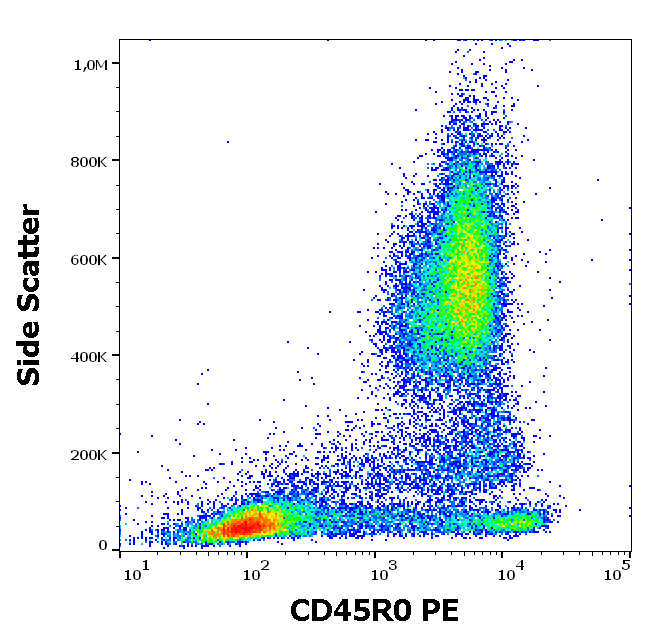 CD45R0 antibody (PE)
