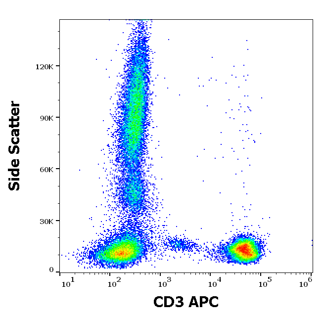 CD3 antibody