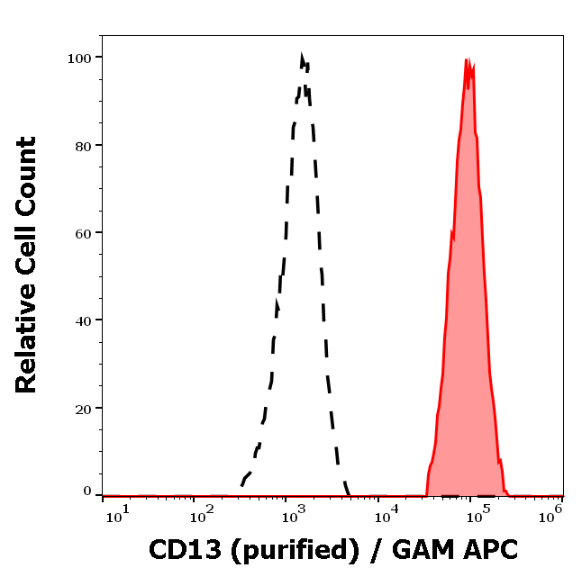 CD13 Antibody