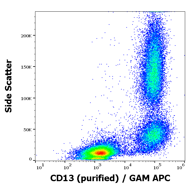 CD13 Antibody