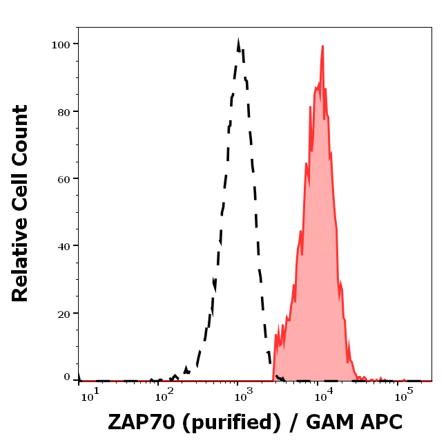 ZAP-70 antibody