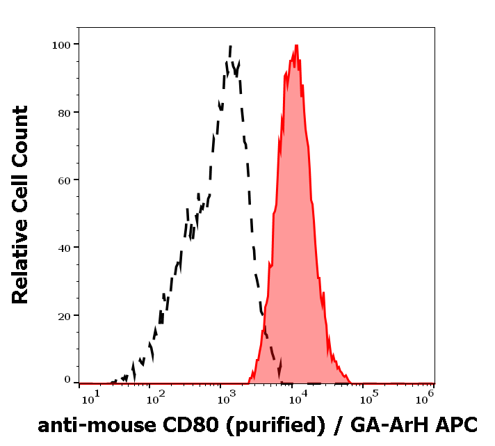CD80 Antibody