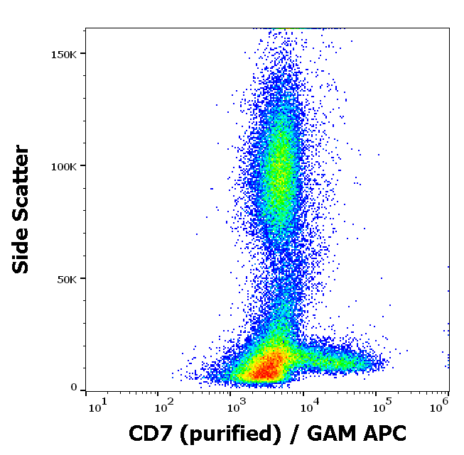 Anti-Hu CD7 Purified