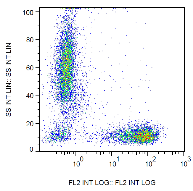 CD7 Antibody (PE)