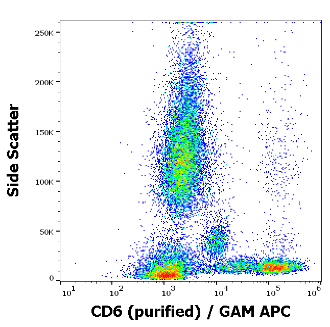 Anti-Hu CD6 Purified