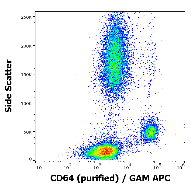 CD64 antibody