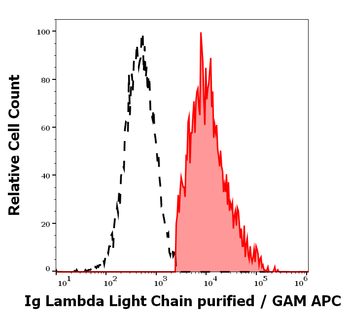 Ig Lambda Light Chain Antibody