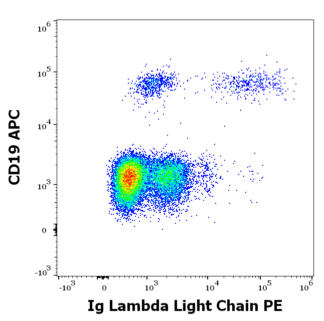 Ig Lambda Light Chain Antibody (PE)