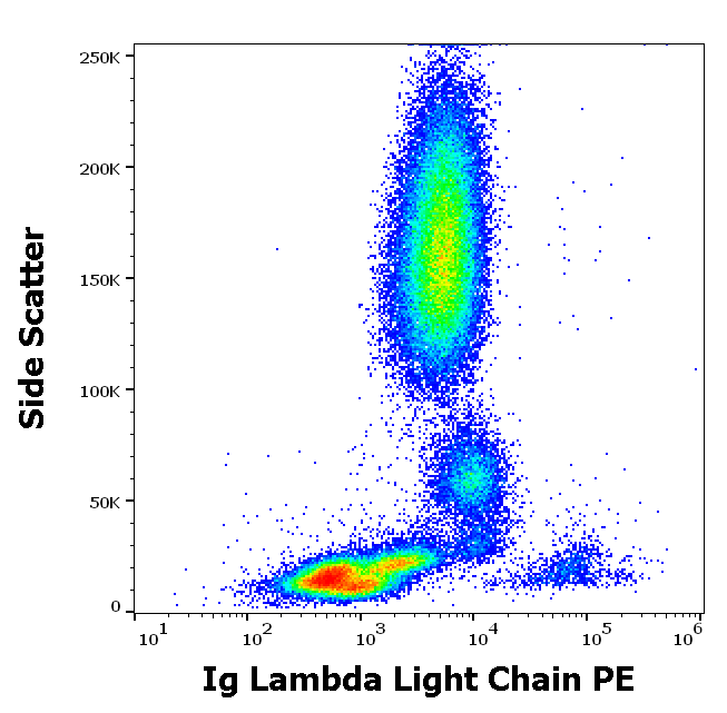 Ig Lambda Light Chain Antibody (PE)