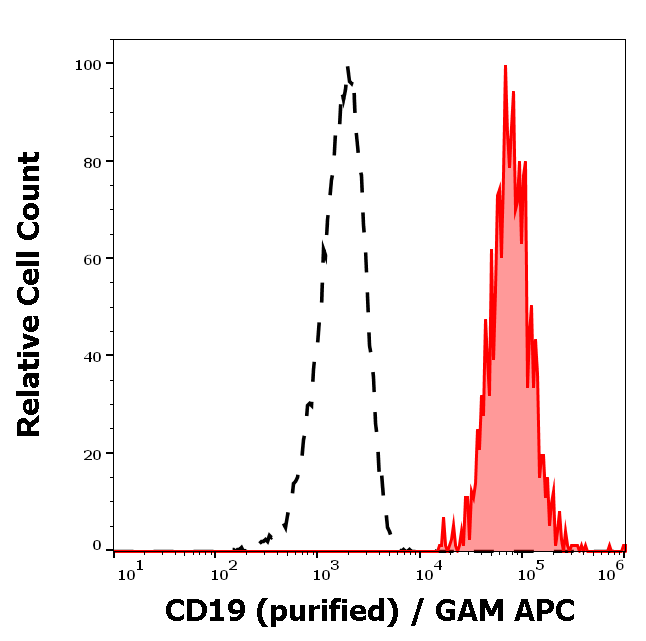 CD19 Antibody