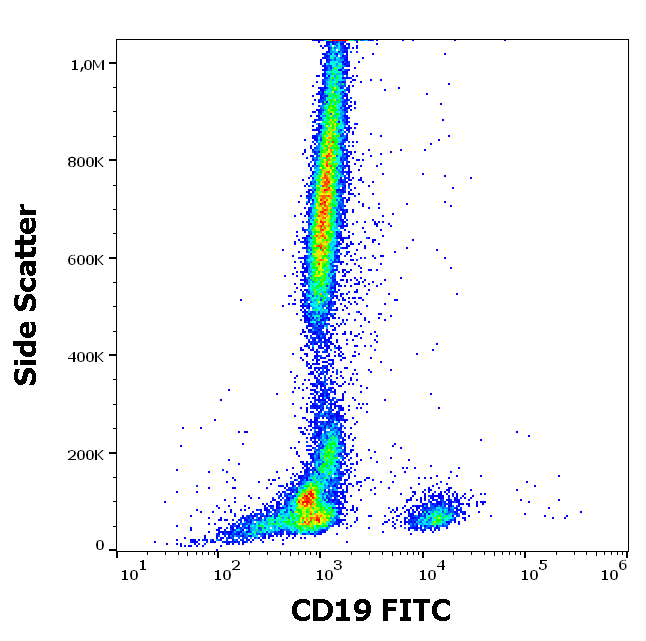 CD19 antibody (FITC)
