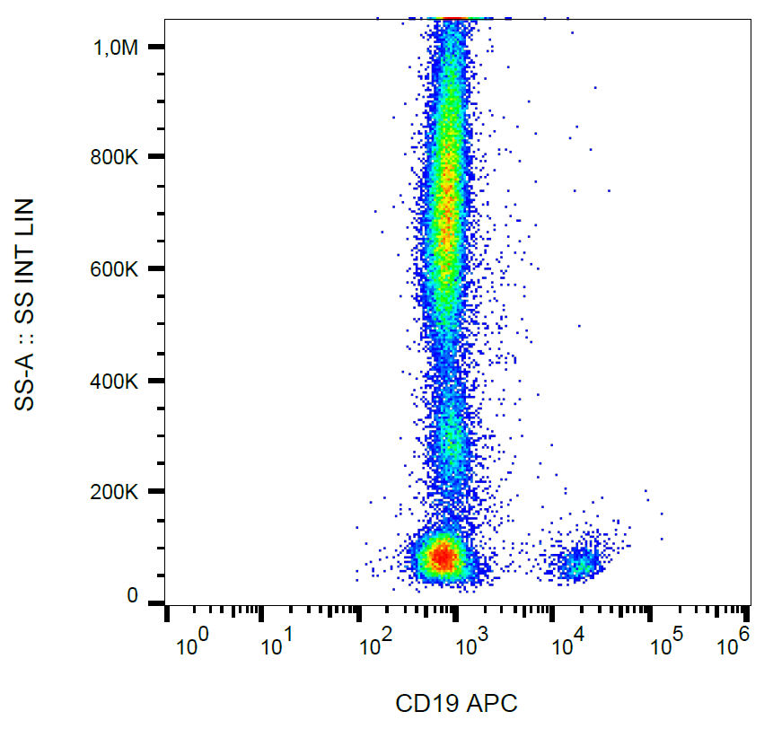 CD19 Antibody (APC)