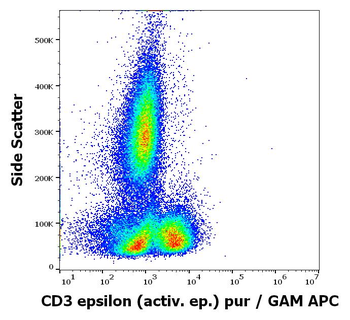 CD3 epsilon (activation epitope) Antibody