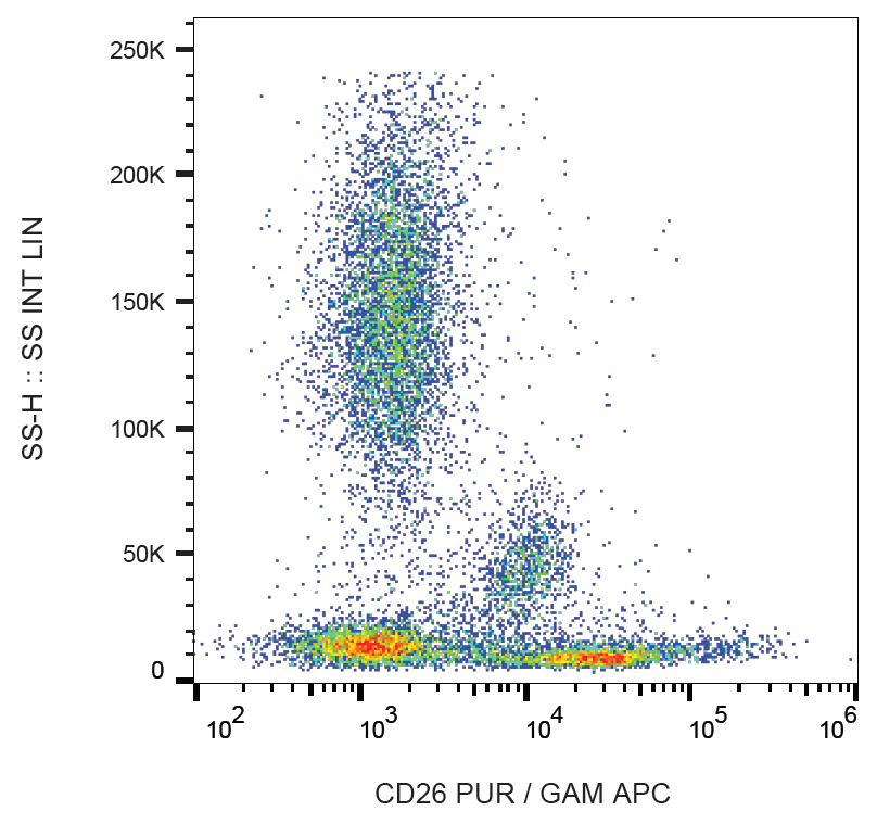 CD26 Antibody