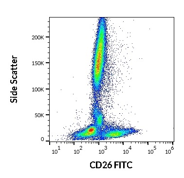 Anti-Hu CD26 FITC