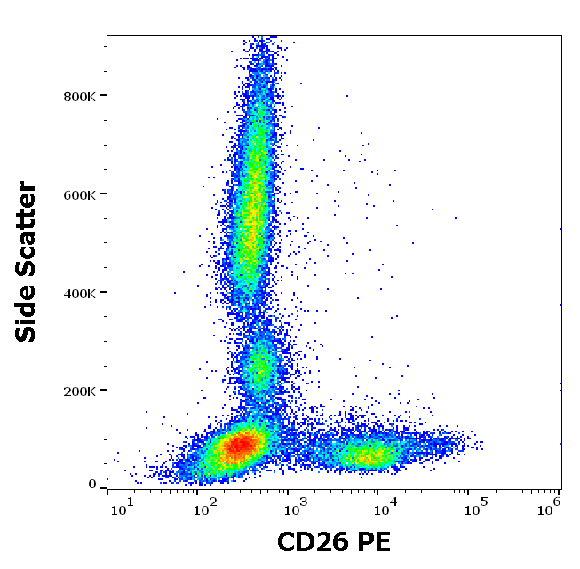 Anti-Hu CD26 PE