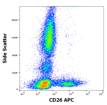 CD26 Antibody (APC)