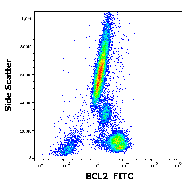 BCL2 antibody (FITC)