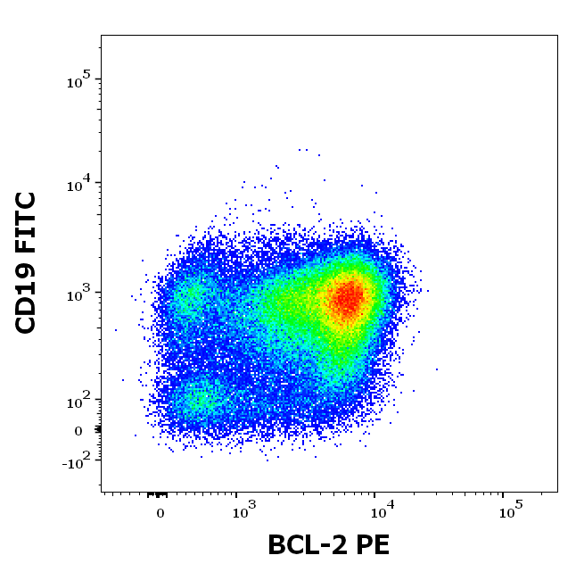BCL2 antibody (PE)