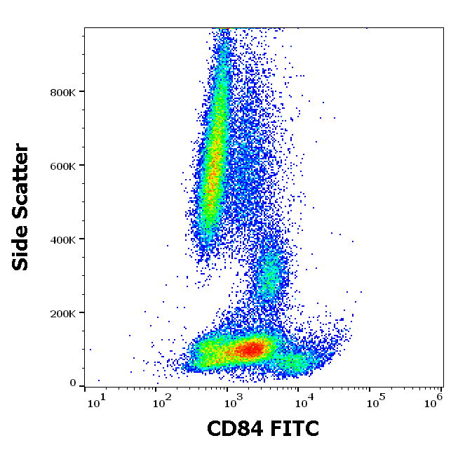 CD84 antibody (FITC)