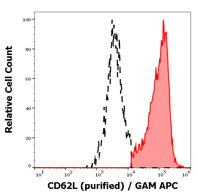 CD62L Antibody