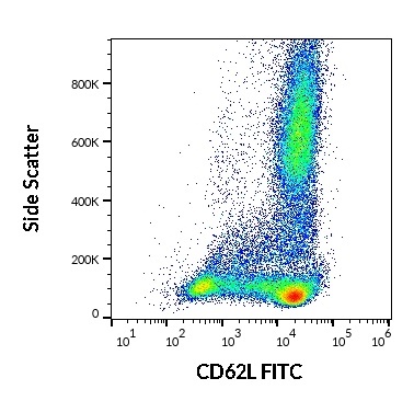 CD62L antibody (FITC)