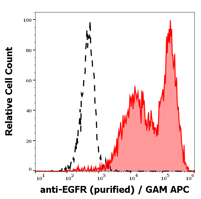 EGFR Antibody