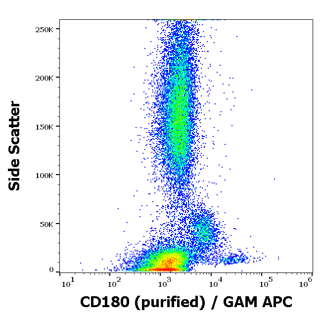 Anti-Hu CD180 Purified