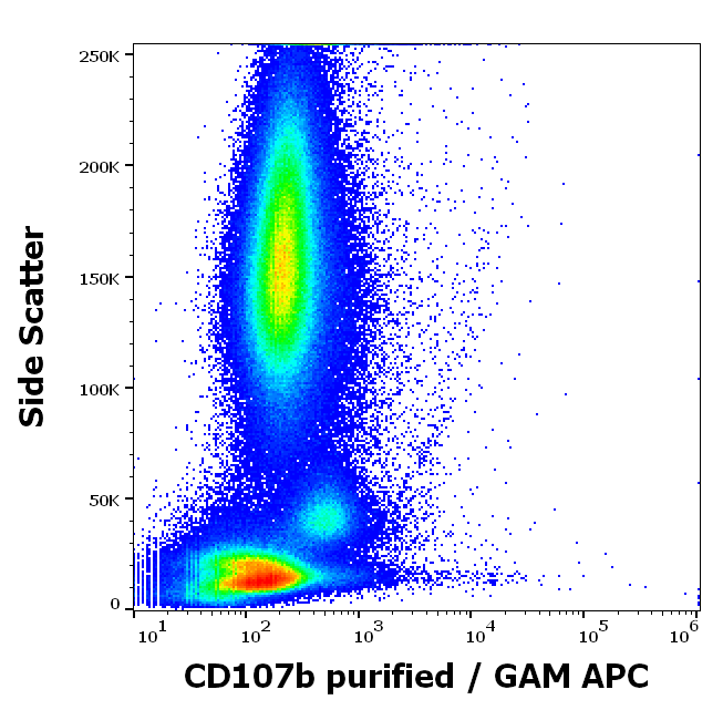 Anti-Hu CD107b Purified Azide Free