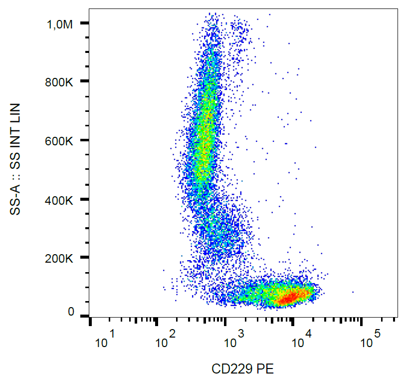 CD229 Antibody (PE)