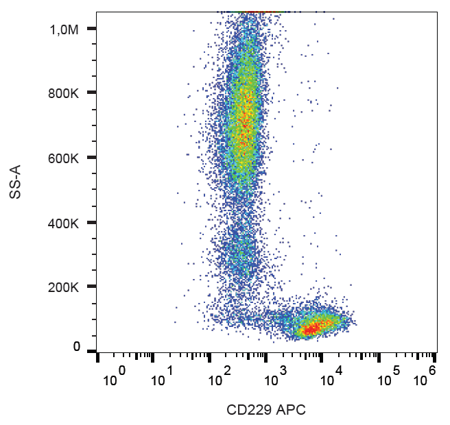 CD229 Antibody (APC)