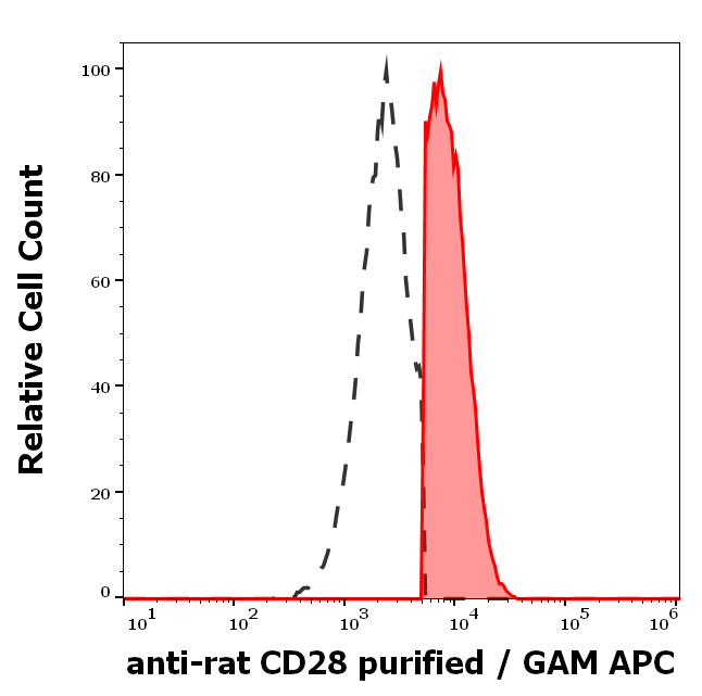 CD28 Antibody