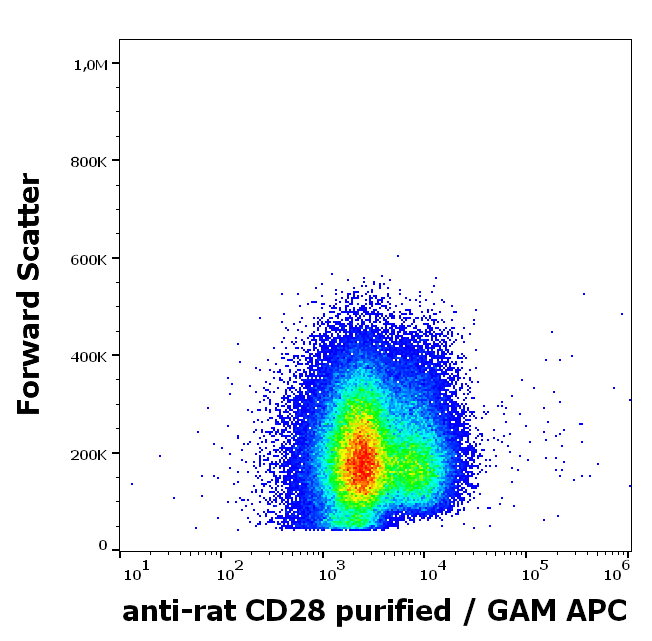 CD28 Antibody