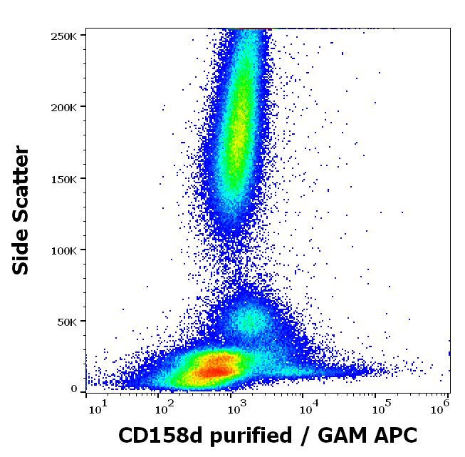 CD158d antibody